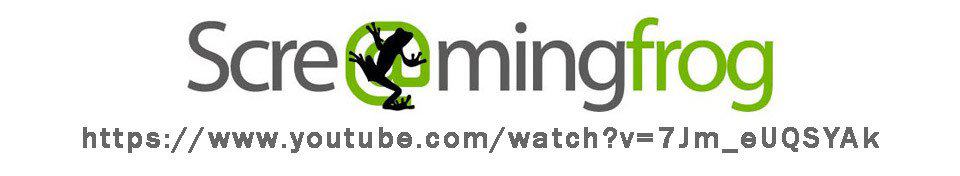 Logo: Screamingfrog. A link to a video. 