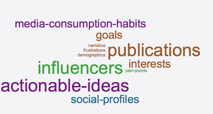 A word cloud. From largest to smallest text size, 11 words as follows: publications, influencers, actionable-ideas, media-consumption-habits, goals, interests, social-profiles, narrative, frustrations, demographics, pain-points. 