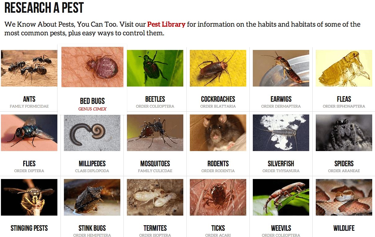 Orkin website screenshot. Three rows of common pest names, each with photograph of the pest with 6 per row. 