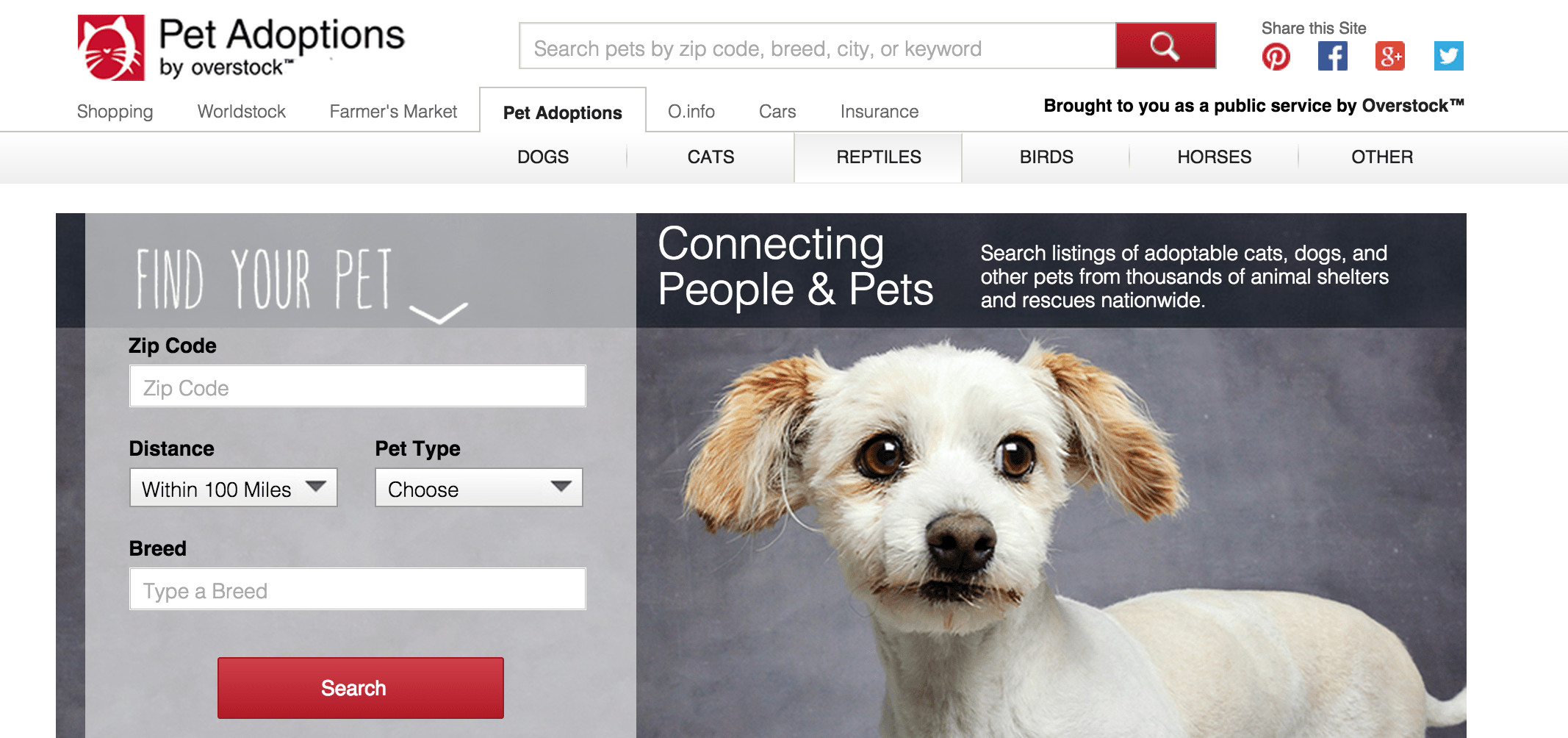 A site titled Pet Adoptions by Overstock. Below are search options. 