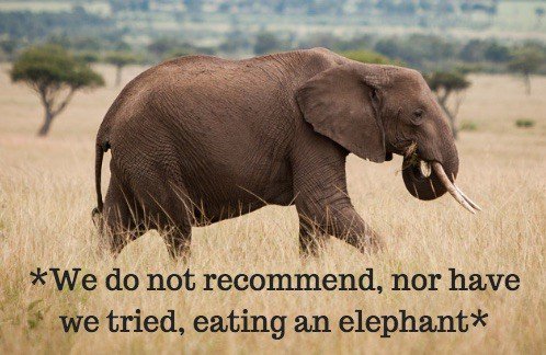 *We do not recommend, not have we tried, eating an elephant*