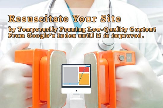 Resuscitate your site by temporarily pruning low-quality content from Google's index until it is improved.