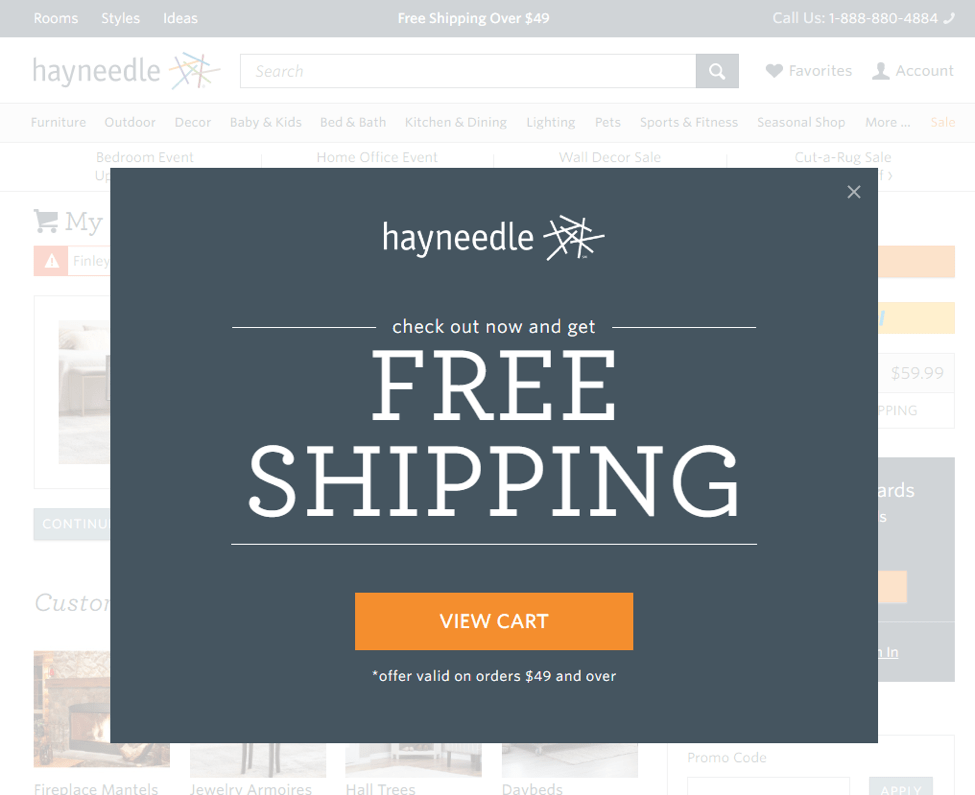 Hayneedle modal with the text: Check out now and get Free Shipping. Followed by a button labeled view cart. 