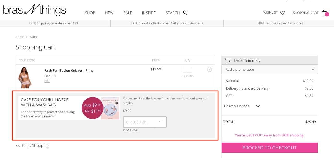 Bras N Things shopping cart page. Beneath the shopping cart details, which includes knickers, is a section titled "Care for your lingerie with a wash bag" with the price. 