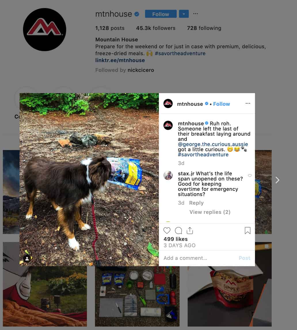 Mountain House Instagram screenshot. A photograph of a dog with its head in a bag of a Mountain House product. Mountain House makes a comment containing the text: @george.the.curious.aussie got a little curious. 