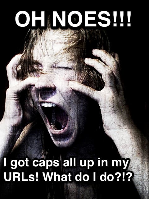 oh-noes1 A photograph of a person screaming. Text states: Oh noes!!! I got caps all up in my U R L's! What do I do?!?