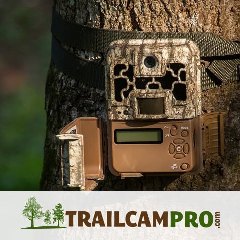 A photograph of a trail camera attached to a tree. Logo: TrailcamPro.com. 