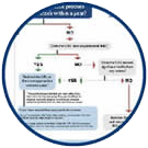 Icon: Out of Stock SEO Flowchart.