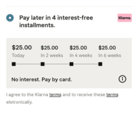 Klarna checkout page, offering "pay later in 4 interest-free installments."