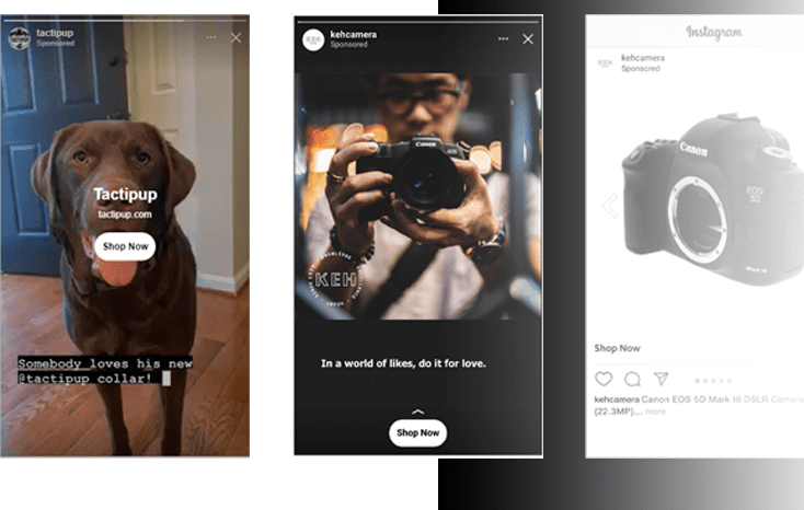 phase-2-img Three Instagram ads. The first shows a brown dog overlaid with