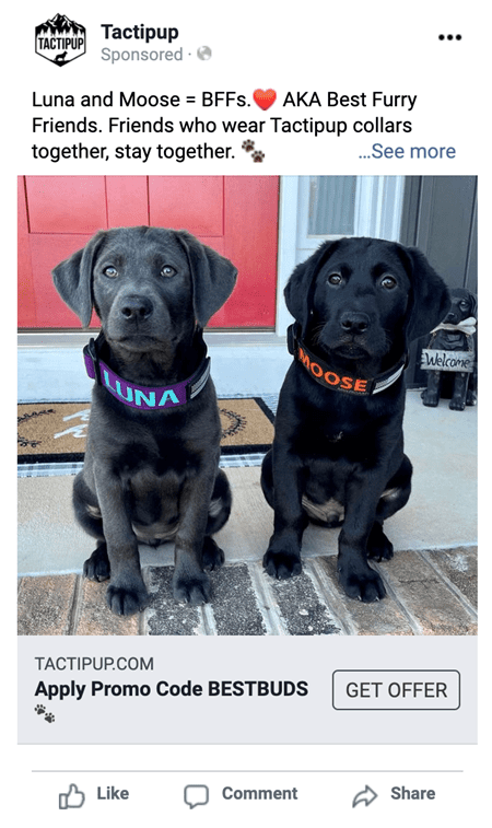 Tactipup Facebook ad, with a photo of two labrador puppies wearing "Luna" and "Moose" collars. Caption: Luna and Moose = BFFS. AKA Best Furry Friends. Friends who wear Tactipup collars together, stay together."