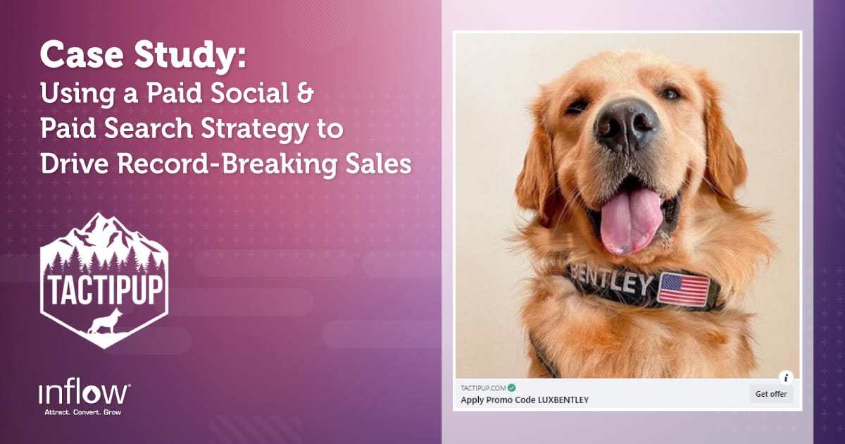 Pet Product Marketing Case Study Breaking Sales Records With Paid Ads
