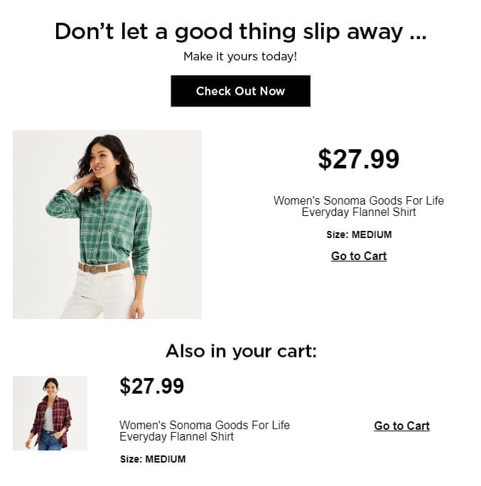 Email from Kohls. Copy: Don't let a good thing slip away. Make it yours today. Check Out Now. Women's Sonoma Goods for Life Everyday Flannel Shirt. Size Medium. Go to Cart.