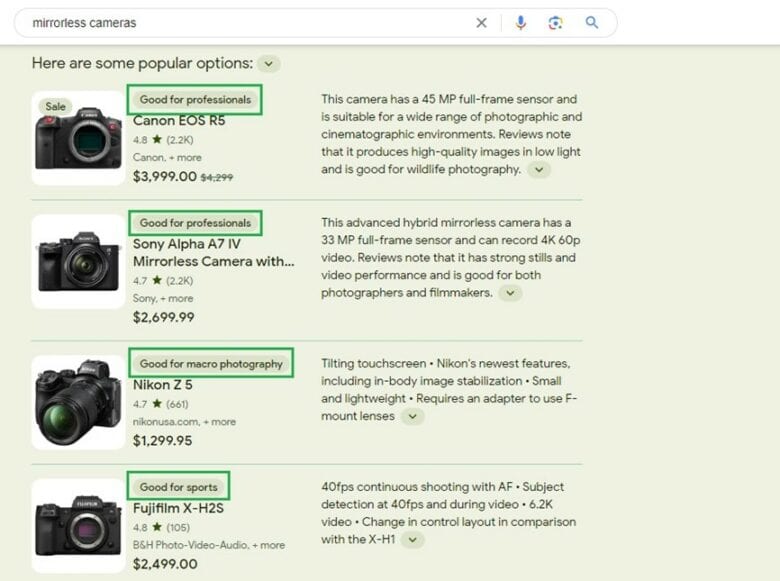 Google search results for mirrorless cameras. Answer: Here are some popular options. Tags for each result are highlighted: Good for professionals. Good for professionals. Good for macro photography. Good for sports.