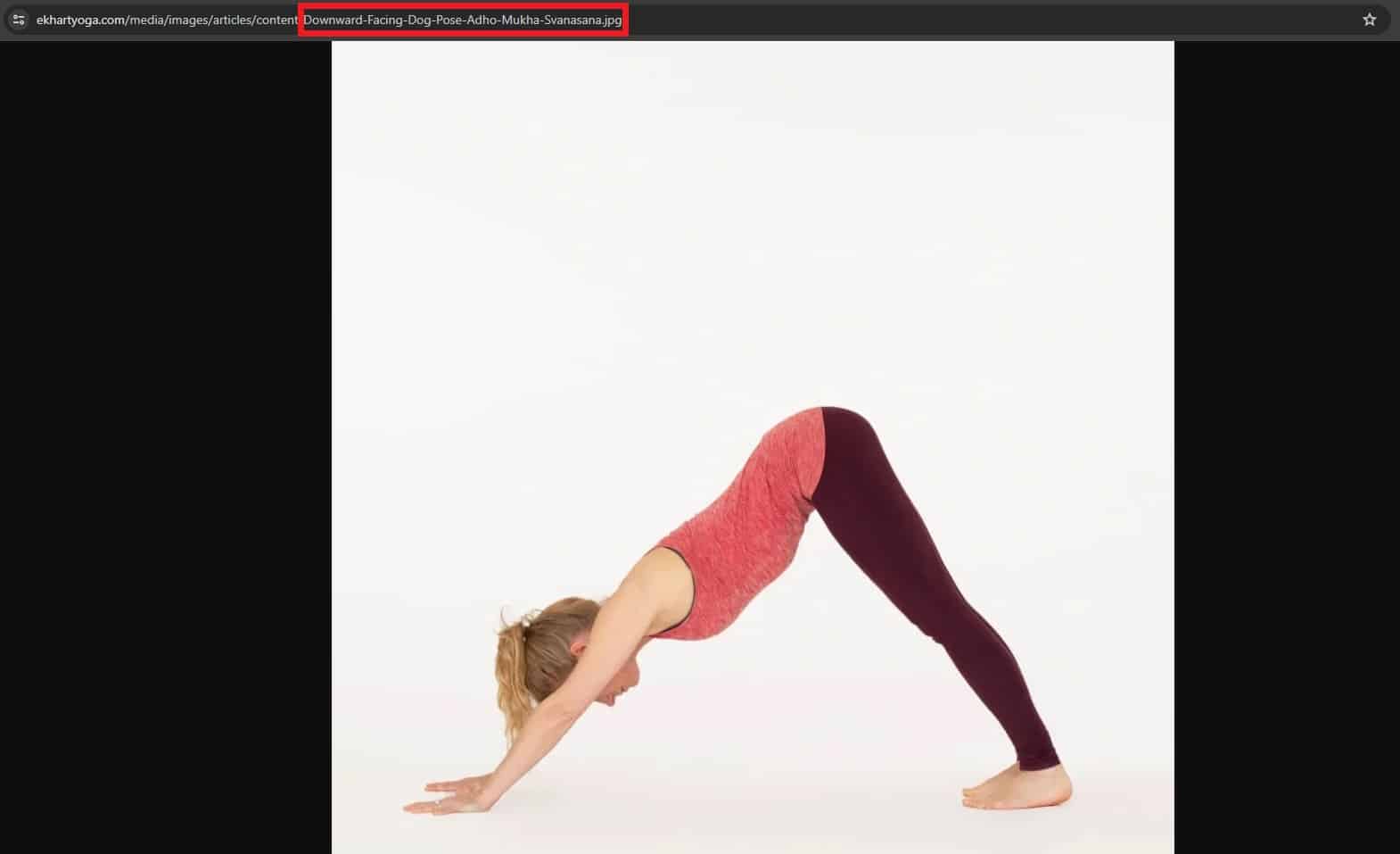 Web screenshot of a woman doing downward dog pose. Highlighted is the image title: Downward-Facing-Dog-Pose-Adho-Mukha-Svanasana.jpg.