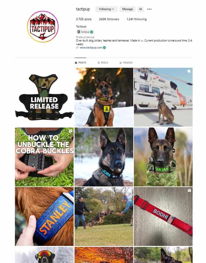 Tactipup Instagram feed, with images of dogs wearing gear and informational videos like How to Unbuckle the Cobra Buckles.